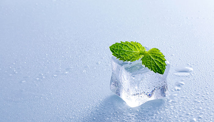 ����Ҷ�Ĺ�Ч������ ����ҶͼƬ